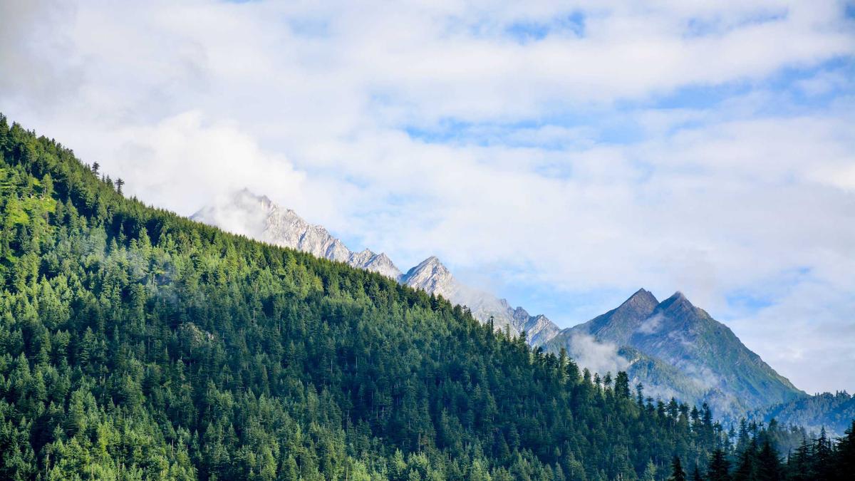 Unlock Health: The Profound Benefits of Daily Walking