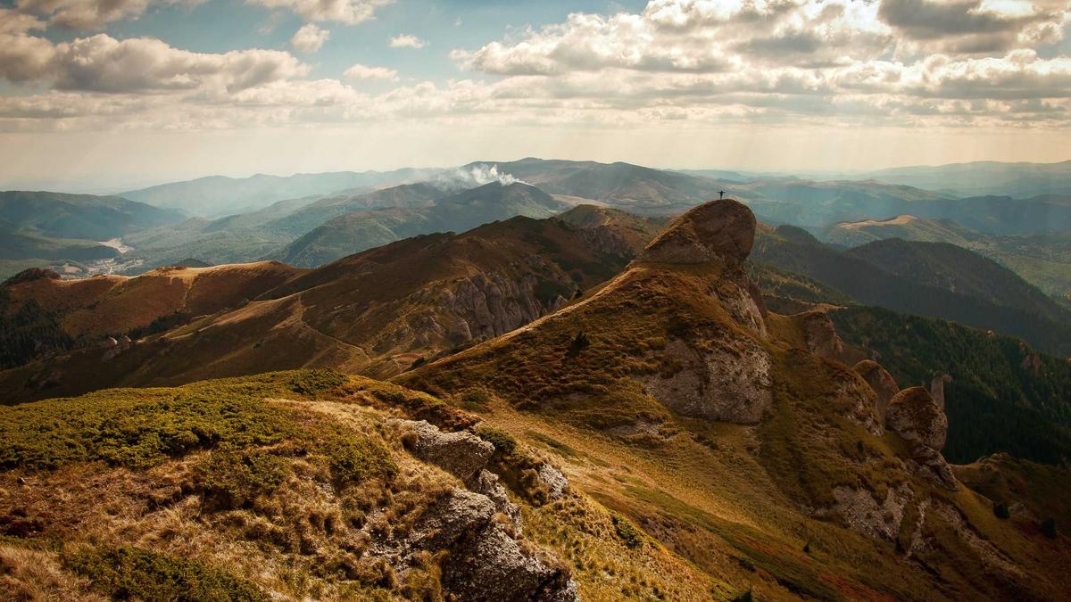 How to Become a Tech Lead: Your Path to Leadership