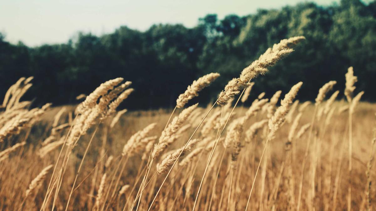 RabbitMQ vs Kafka: A Practical Comparison Guide