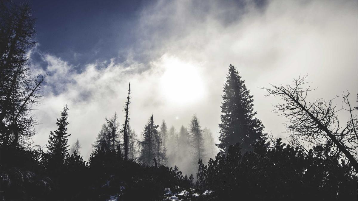 Best Automation Tools for Driving Business Growth